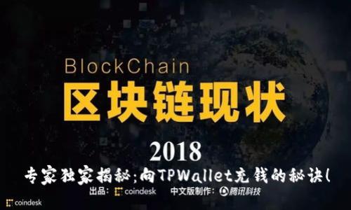 专家独家揭秘：向TPWallet充钱的秘诀！