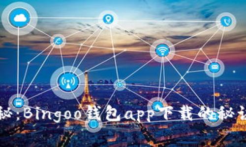 专家独家揭秘：Bingoo钱包app下载的秘诀与注意事项