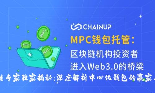 区块链专家独家揭秘：深度解析中心化钱包的赢家与秘诀