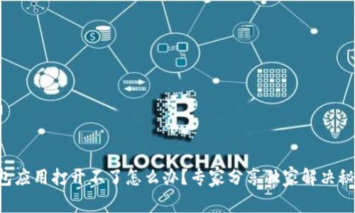 钱包应用打开不了怎么办？专家分享独家解决秘诀！