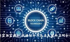 专家独家揭秘：区块链冷钱包丢失后的应对秘诀