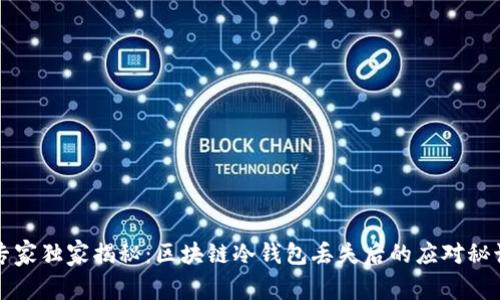 专家独家揭秘：区块链冷钱包丢失后的应对秘诀