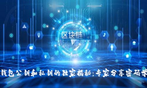 加密钱包公钥和私钥的独家揭秘：专家分享密码学秘诀