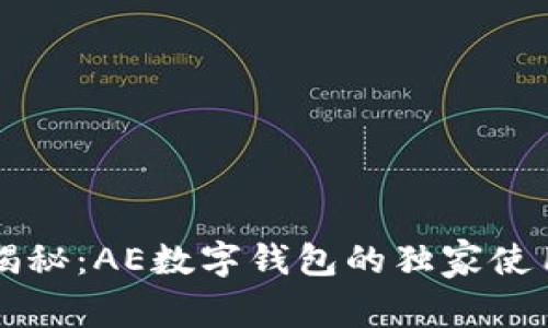 专家揭秘：AE数字钱包的独家使用秘诀