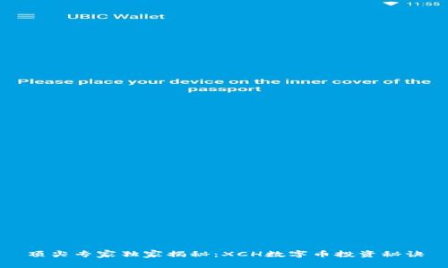 顶尖专家独家揭秘：XCH数字币投资秘诀