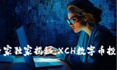 顶尖专家独家揭秘：XCH数字币投资秘诀