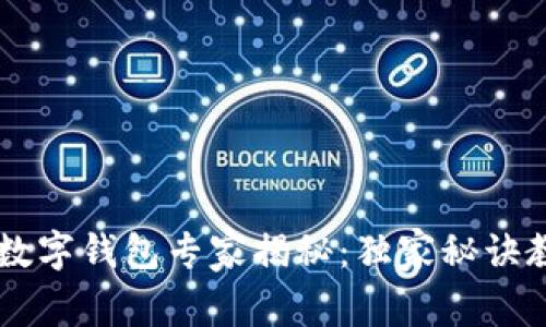 香港数字交易所数字钱包专家揭秘：独家秘诀教你安全高效使用