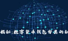专家独家揭秘：数字货币钱包分类的秘诀全解析