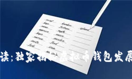 专家解读：独家揭秘虚拟币钱包发展的秘诀