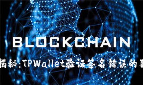 区块链专家揭秘：TPWallet验证签名错误的独家解决秘诀