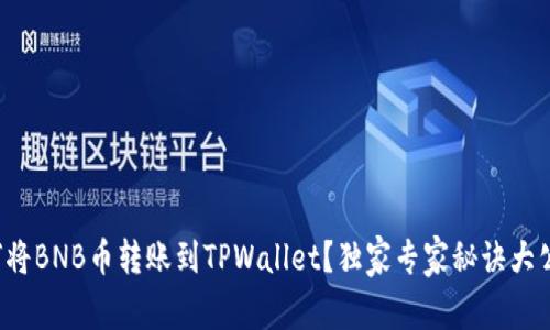 如何将BNB币转账到TPWallet？独家专家秘诀大公开！