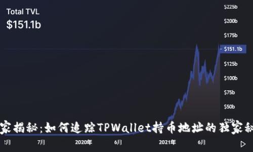专家揭秘：如何追踪TPWallet持币地址的独家秘诀