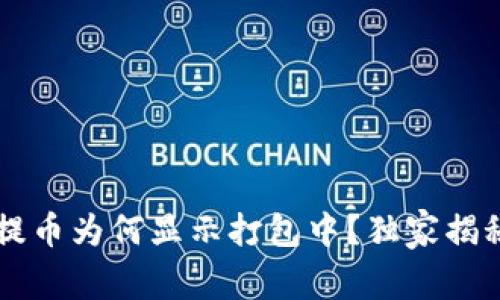 TPWallet提币为何显示打包中？独家揭秘解决方案