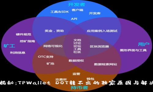 专家揭秘：TPWallet DOT转不出的独家原因与解决秘诀