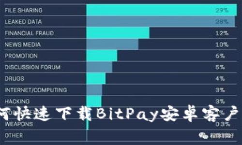 独家揭秘：如何快速下载BitPay安卓客户端的专家秘诀