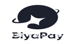 专家独家揭秘：区块链轻钱包API接口的秘诀与应