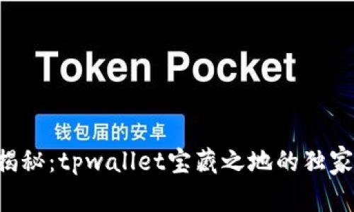 专家揭秘：tpwallet宝藏之地的独家秘诀！