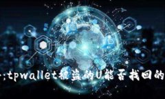 专家揭秘：tpwallet被盗的U能否找回的独家秘诀