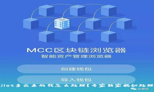 TPWallet多出来的钱怎么处理？专家独家揭秘处理秘诀！