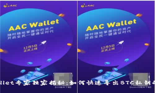 TPWallet专家独家揭秘：如何快速导出BTC私钥的秘诀