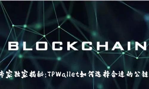 专家独家揭秘：TPWallet如何选择合适的公链？
