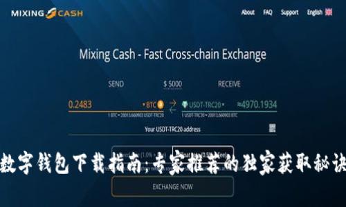 数字钱包下载指南：专家推荐的独家获取秘诀