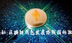 专家揭秘：区块链钱包发展路线图的独家秘诀