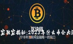 虚拟币专家独家揭秘：2023年什么币会大涨的秘诀
