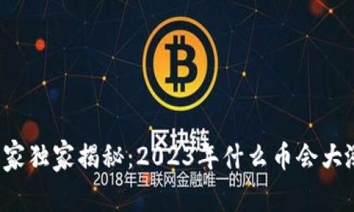 虚拟币专家独家揭秘：2023年什么币会大涨的秘诀?