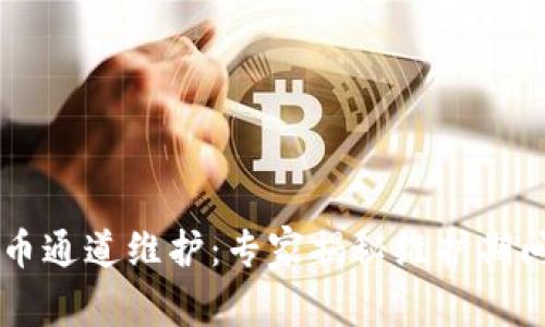 TPWallet提币通道维护：专家揭秘维护期间的独家秘诀