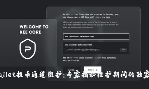 TPWallet提币通道维护：专家揭秘维护期间的独家秘诀