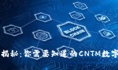 专家独家揭秘：你需要知道的CNTM数字货币秘诀