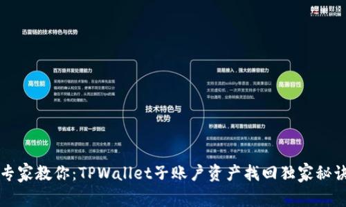专家教你：TPWallet子账户资产找回独家秘诀