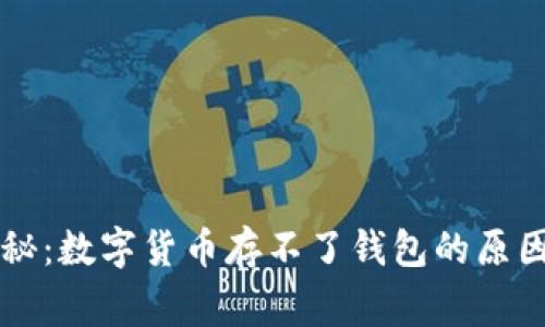 专家独家揭秘：数字货币存不了钱包的原因与解决秘诀