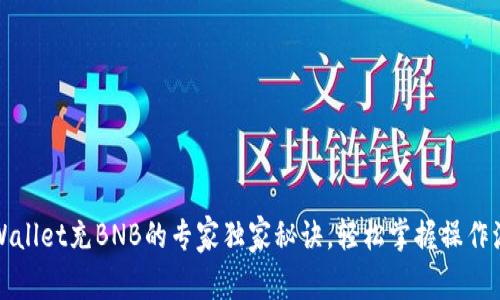 TPWallet充BNB的专家独家秘诀，轻松掌握操作流程