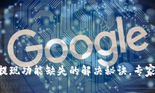 TPWallet提现功能缺失的解决秘诀，专家独家分享！