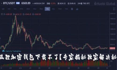 小狐狸加密钱包下载不了？专家揭秘独家解决秘诀！