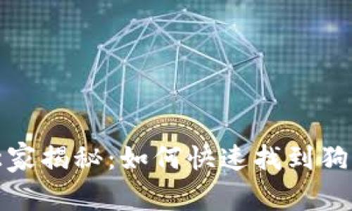 tpwallet独家揭秘：如何快速找到狗狗币的秘诀