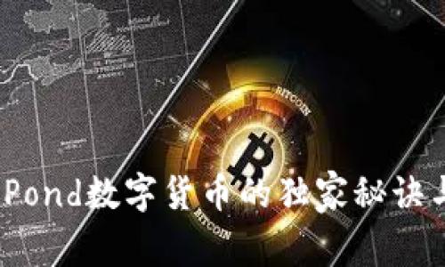 专家揭秘：Pond数字货币的独家秘诀与投资前景