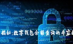 独家揭秘：数字钱包余额查询的专家秘诀！
