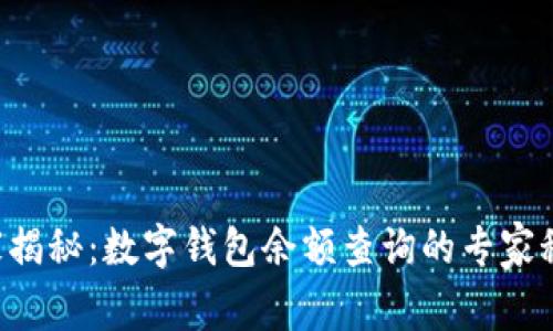 独家揭秘：数字钱包余额查询的专家秘诀！