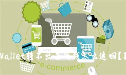 专家揭秘：TPWallet转不出去的钱怎么追回？独家秘诀分享！