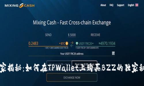 专家揭秘：如何在TPWallet上购买BZZ的独家秘诀