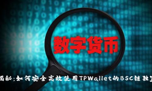 专家揭秘：如何安全高效使用TPWallet的BSC链独家秘诀