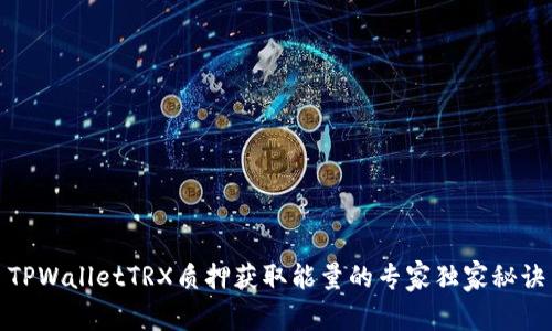 TPWalletTRX质押获取能量的专家独家秘诀