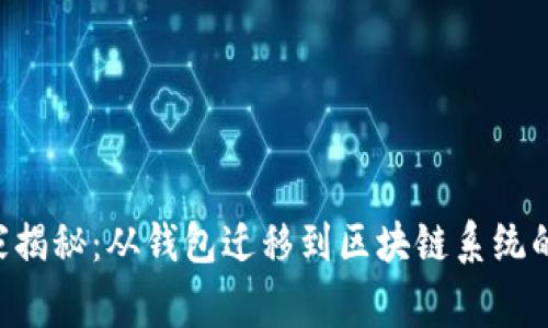 区块链专家揭秘：从钱包迁移到区块链系统的独家秘诀！