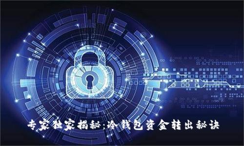专家独家揭秘：冷钱包资金转出秘诀