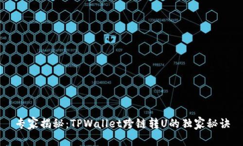 专家揭秘：TPWallet跨链转U的独家秘诀