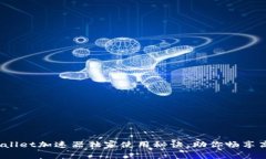 专家揭秘：TPWallet加速器独家使用秘诀，助你畅享