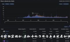 专家独家揭秘：虚拟币的作用与未来发展秘诀
